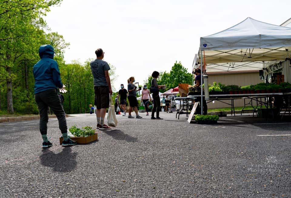ww farmers market